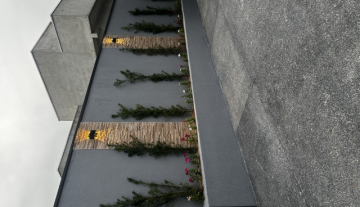 C3818 3.JPG